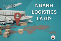 Ngành Logistics Là Gì? Top 10 Trường Đào Tạo Ngành Logistics Tốt Nhất Miền Nam