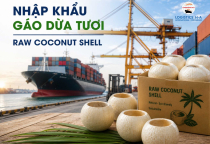 THỦ TỤC NHẬP KHẨU GÁO DỪA TƯƠI (COCONUT SHELL)
